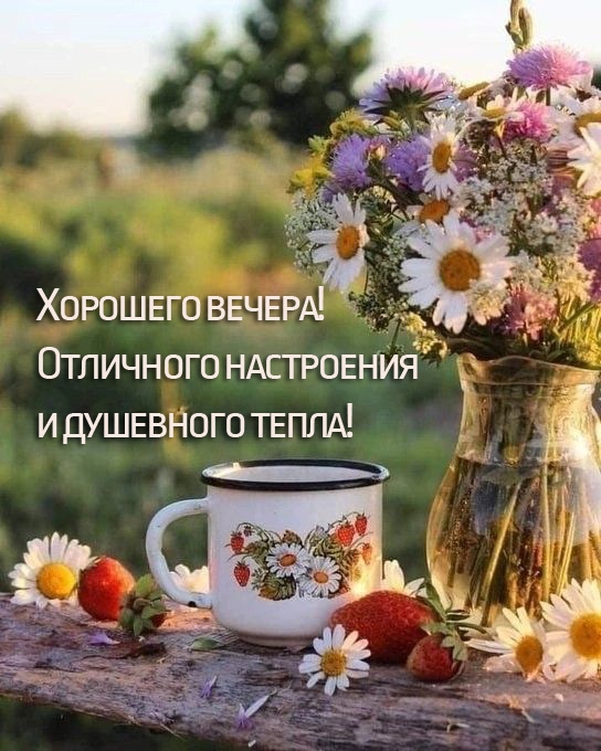 Хорошего вечера! Отличного настроения и душевного тепла!
