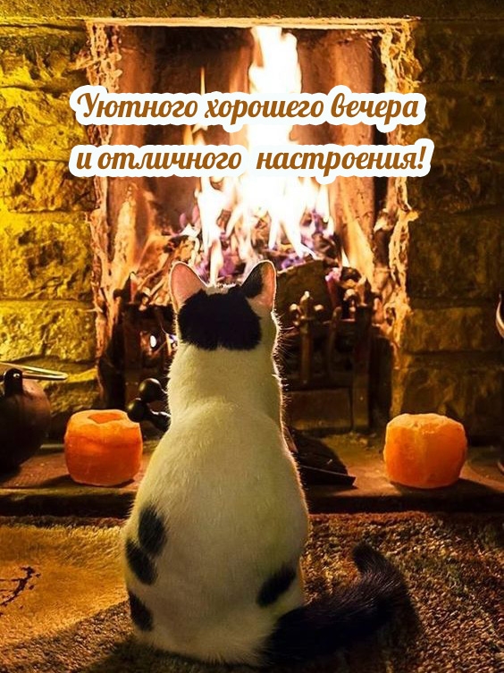 Уютного хорошего вечера и отличного настроения!