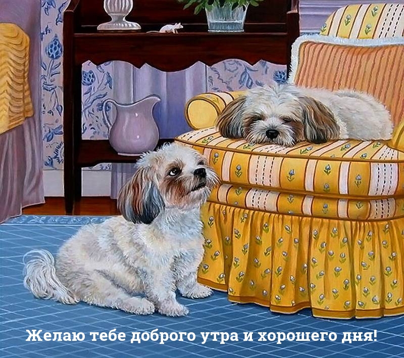 Желаю тебе доброго утра и хорошего дня!