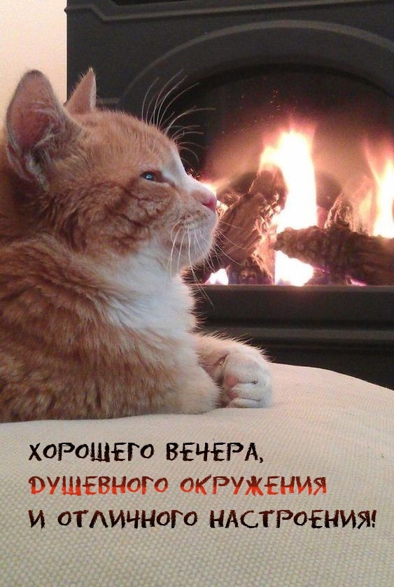 Хорошего вечера, душевного окружения и отличного настроения!