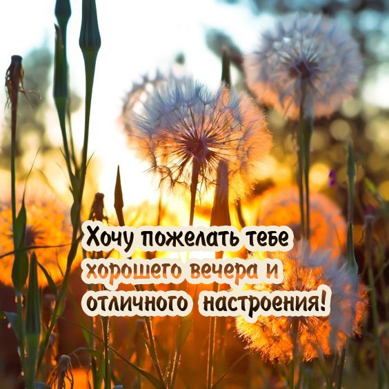 Хочу пожелать тебе хорошего вечера и отличного настроения!