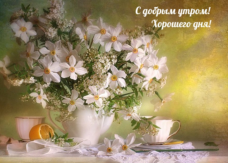С добрым утром! Хорошего дня!