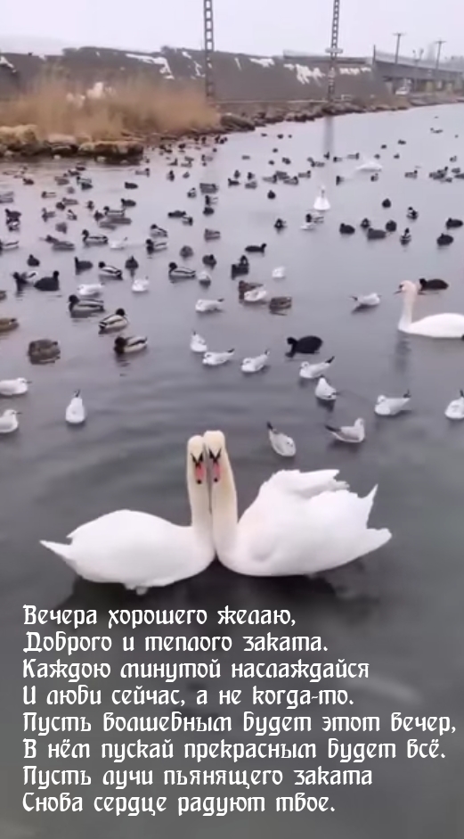 Вечера хорошего желаю, доброго и теплого заката.