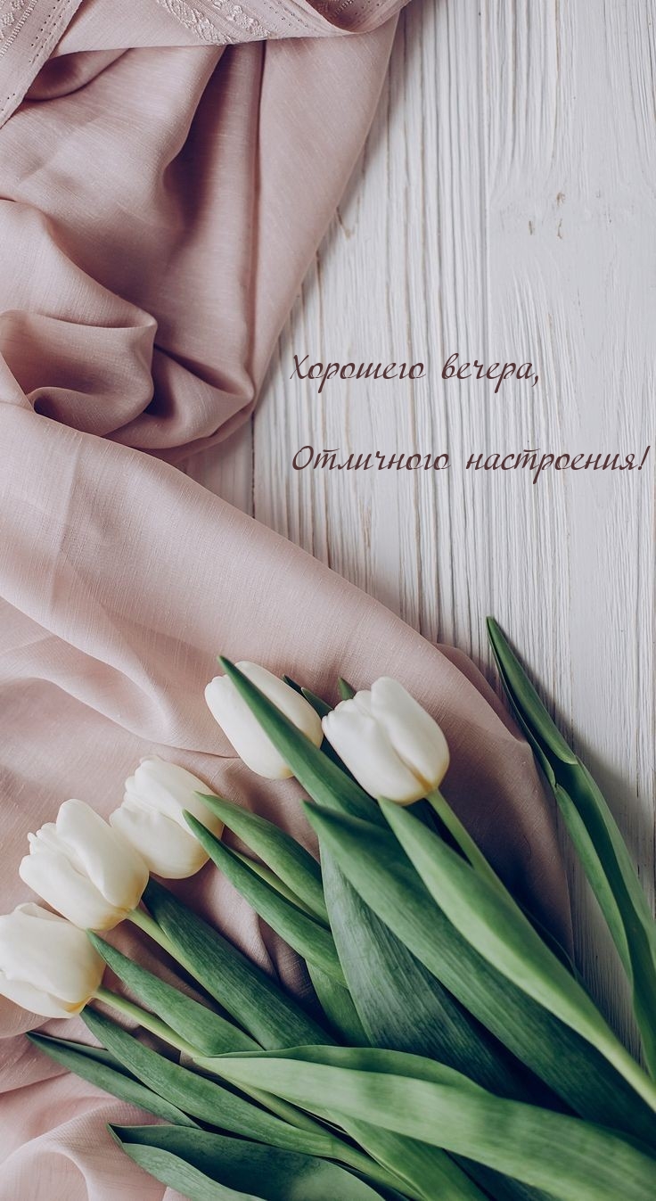 Хорошего вечера, Отличного настроения!