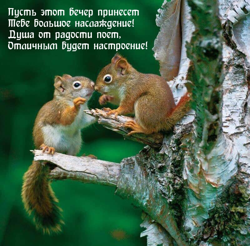 Пусть этот вечер принесет тебе большое наслаждение!