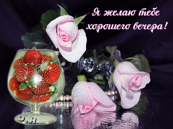 Я желаю тебе хорошего вечера!