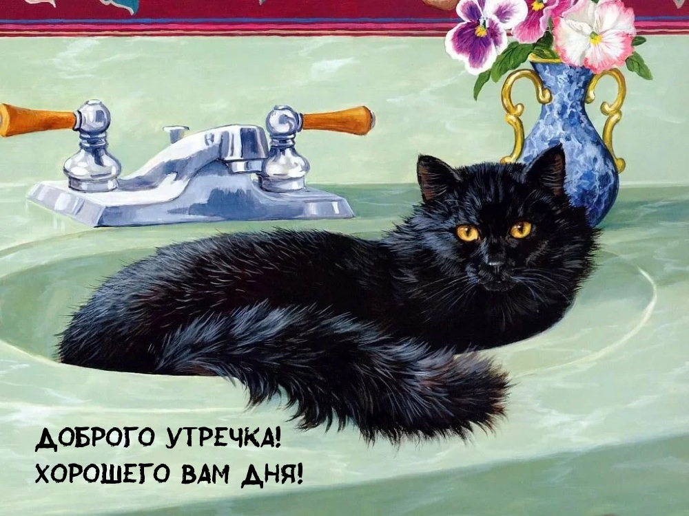 Доброго утречка! Хорошего вам дня!