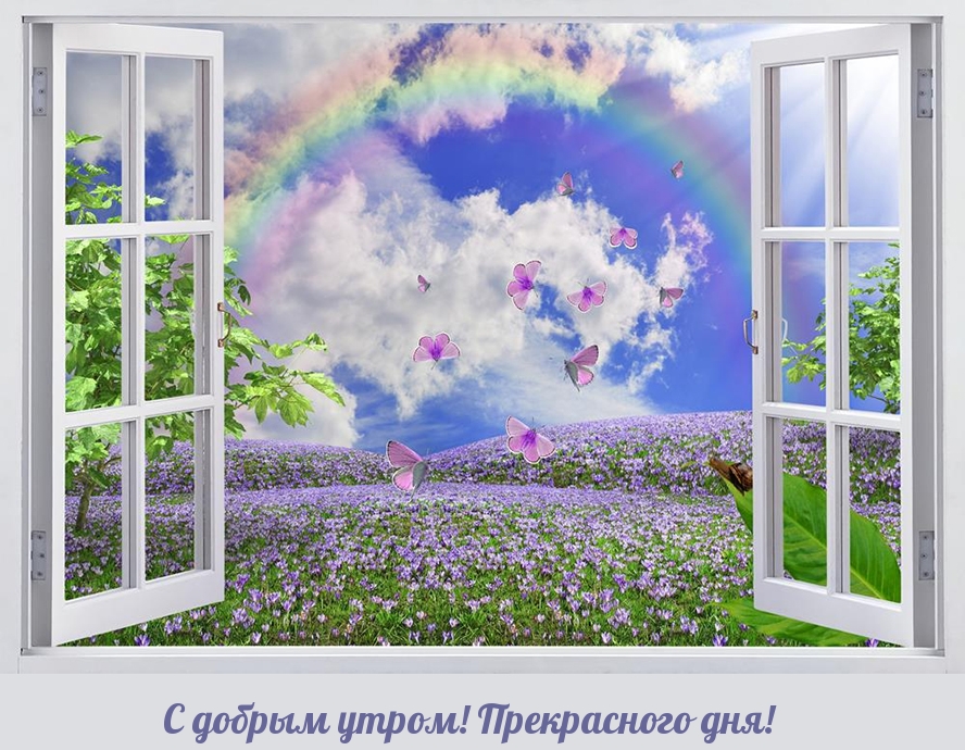 С добрым утром! Прекрасного дня!