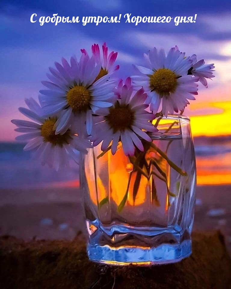 С добрым утром! Хорошего дня!