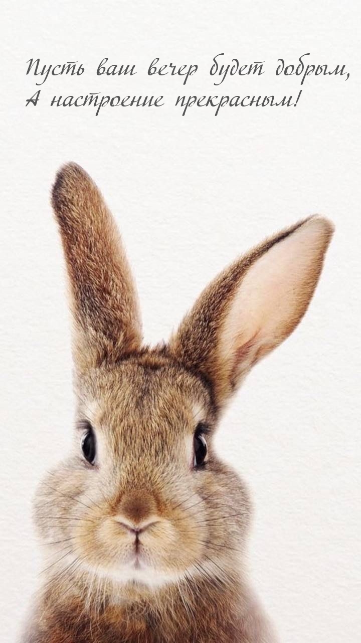 Пусть ваш вечер будет добрым, а настроение прекрасным!