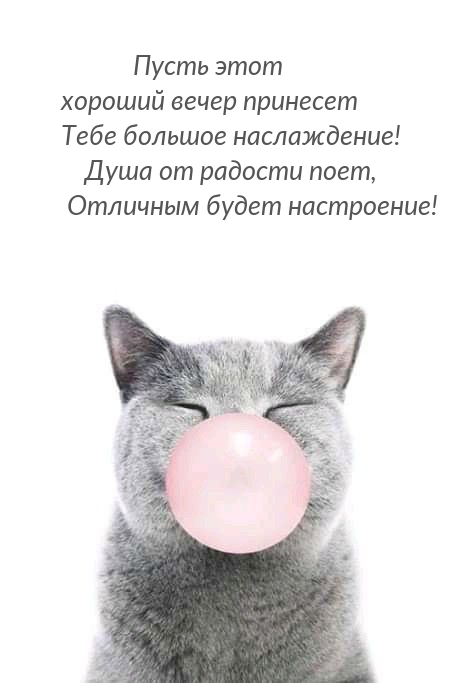 Пусть этот хороший вечер принесет тебе большое наслаждение!