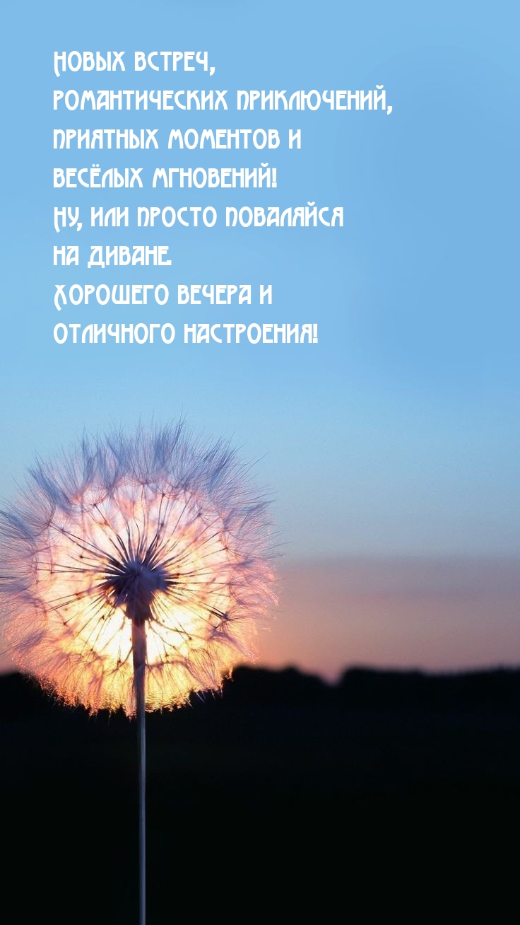 Хорошего вечера и отличного настроения!