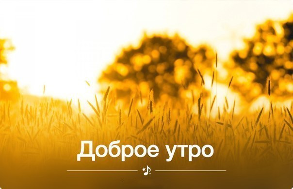 Доброе утро