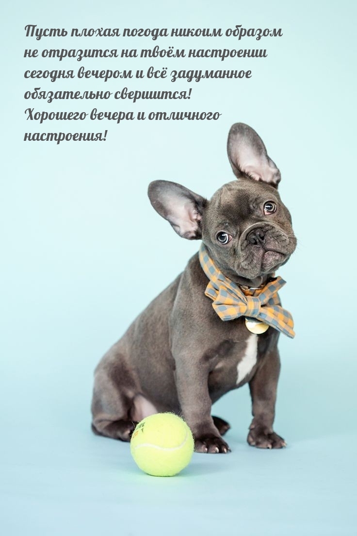 Хорошего вечера и отличного настроения!