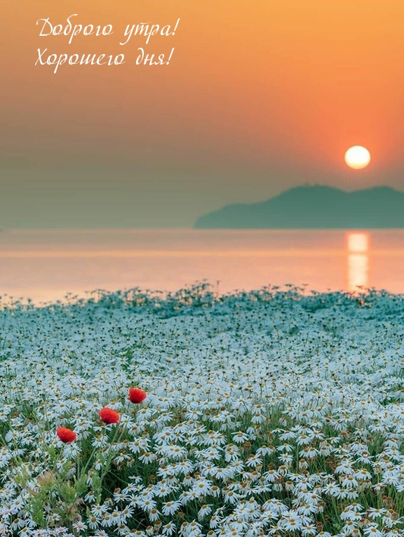 Доброго утра! Хорошего дня!