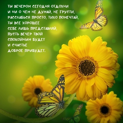Ты вечером сегодня отдохни и ни о чем не думай, не грусти