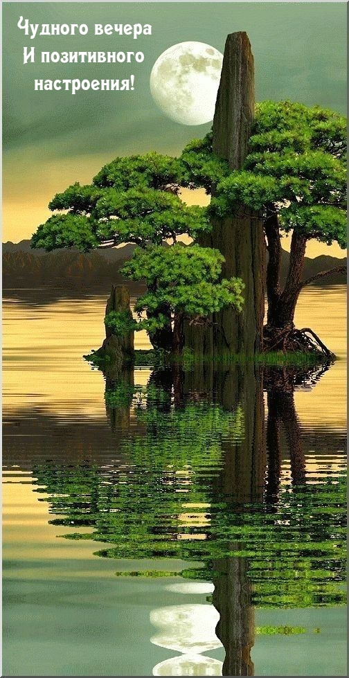 Чудного вечера и позитивного настроения!