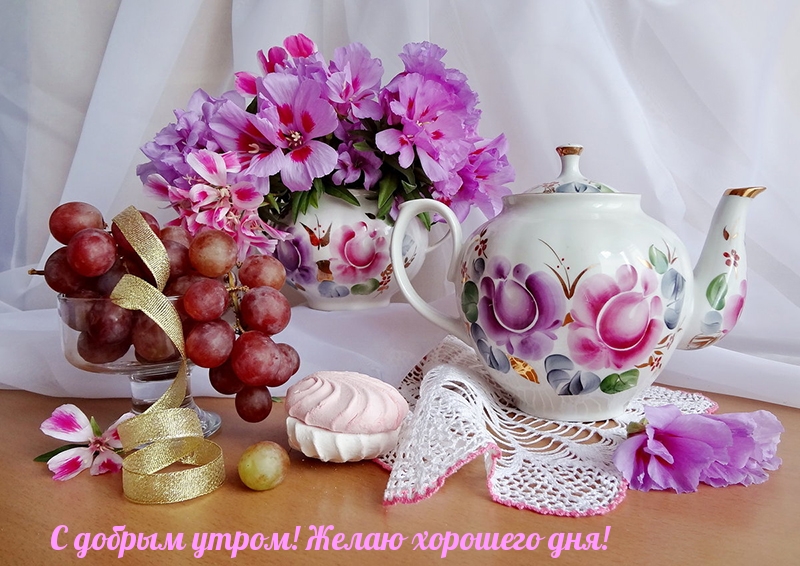 С добрым утром! Желаю хорошего дня!