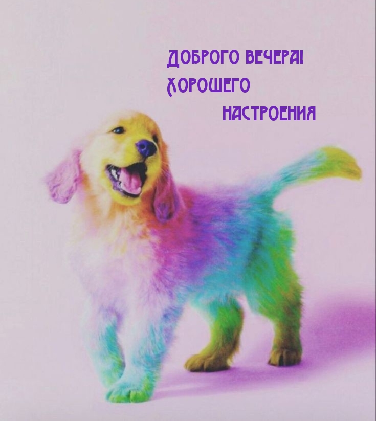 Доброго вечера! Хорошего настроения