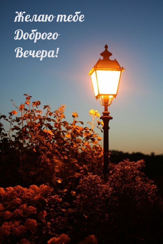 Желаю тебе Доброго Вечера!