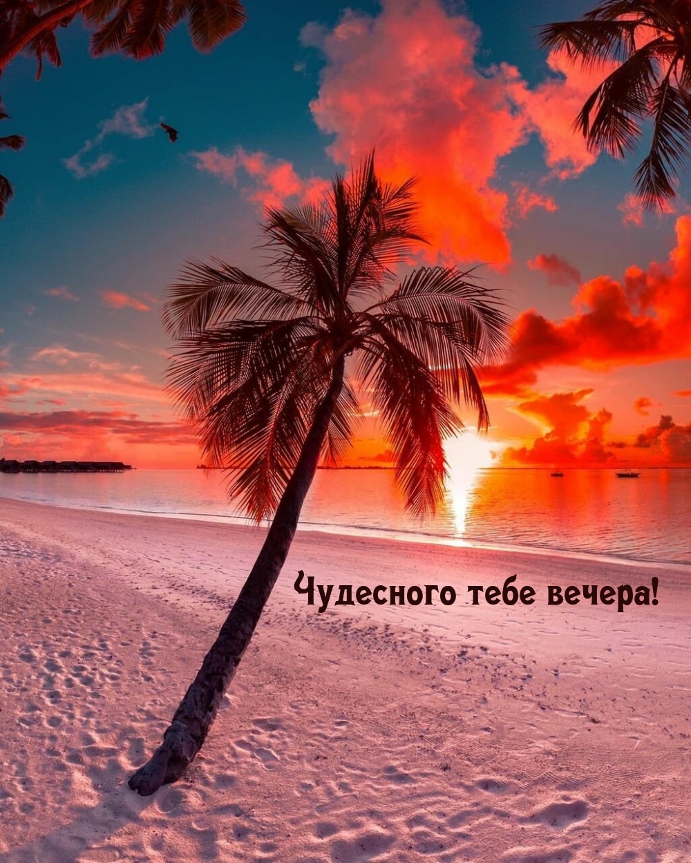 Чудесного тебе вечера!