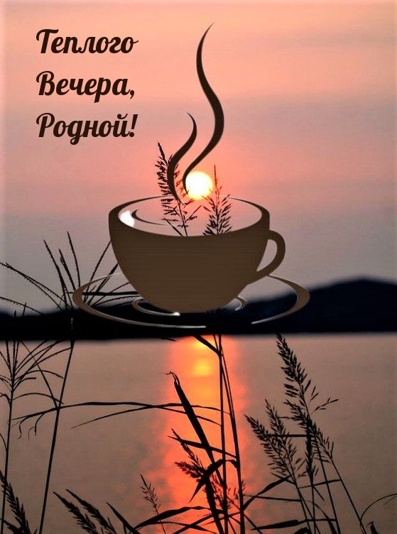 Теплого Вечера, Родной!