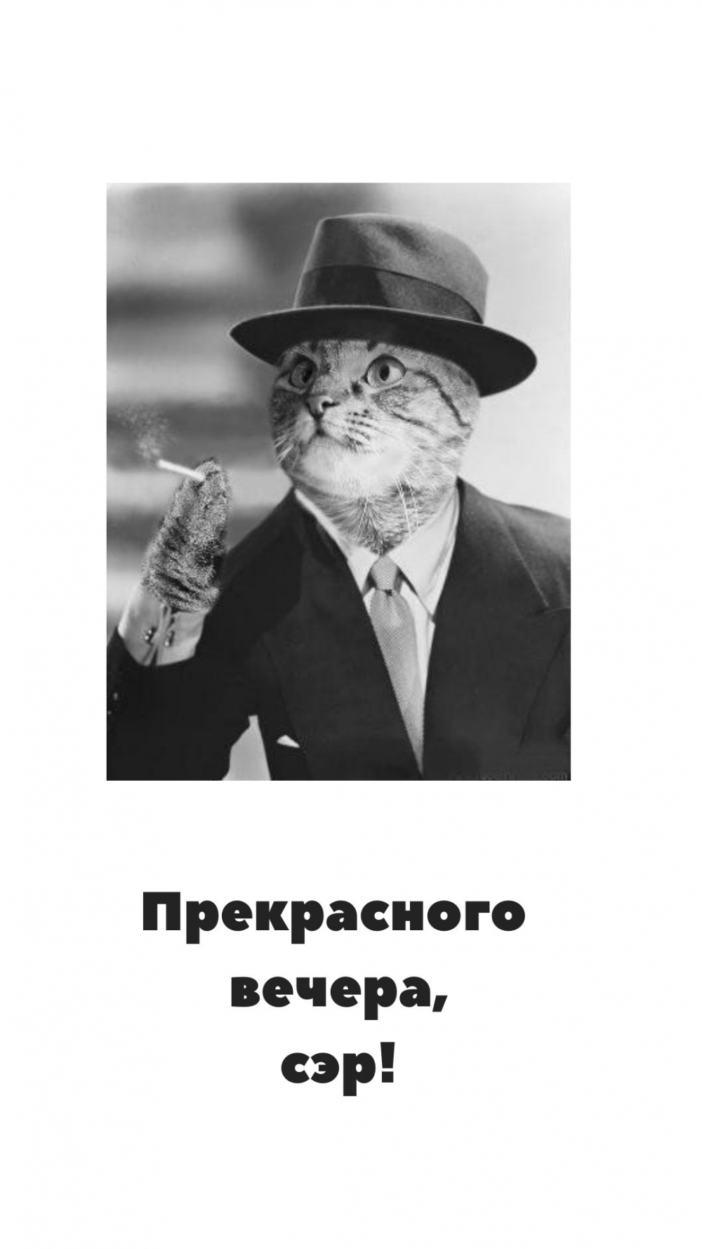 Прекрасного вечера, сэр!