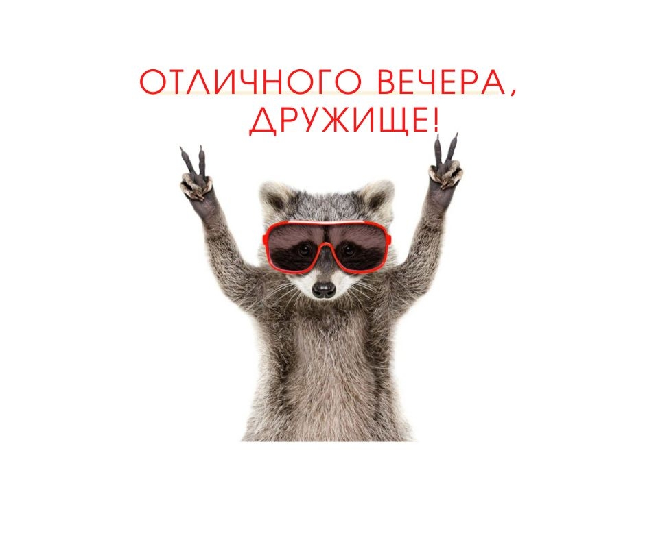Отличного вечера, дружище!