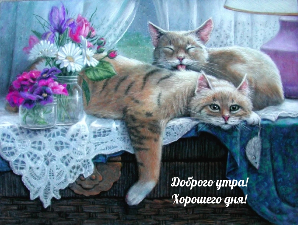 Доброго утра! Хорошего дня!