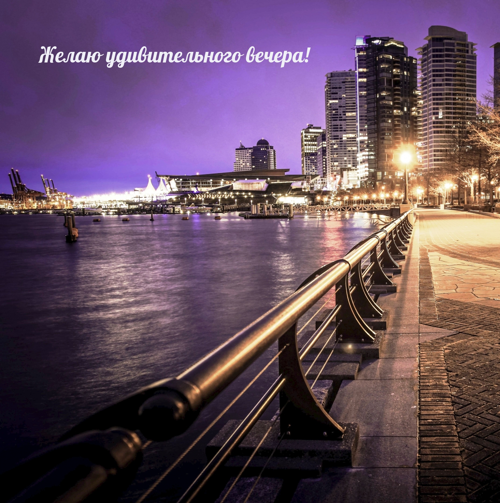 Желаю удивительного вечера!