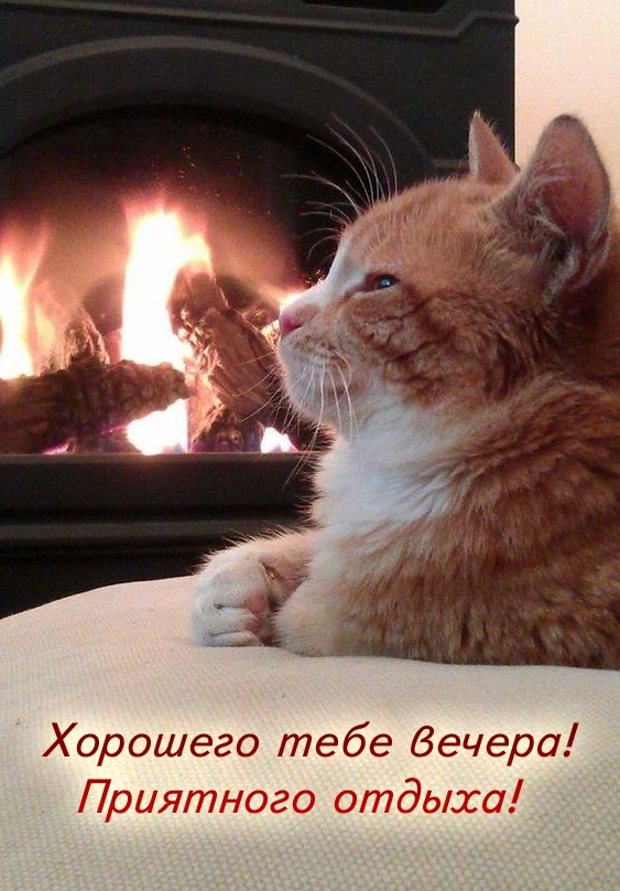 Хорошего тебе вечера! Приятного отдыха!