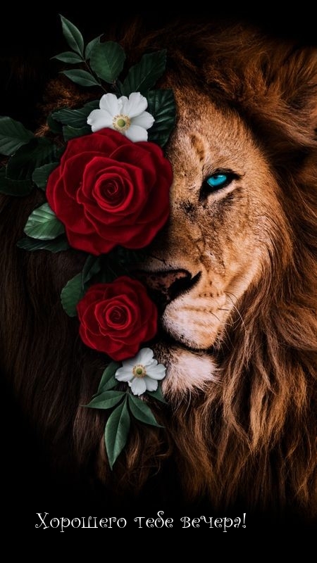 Хорошего тебе вечера!