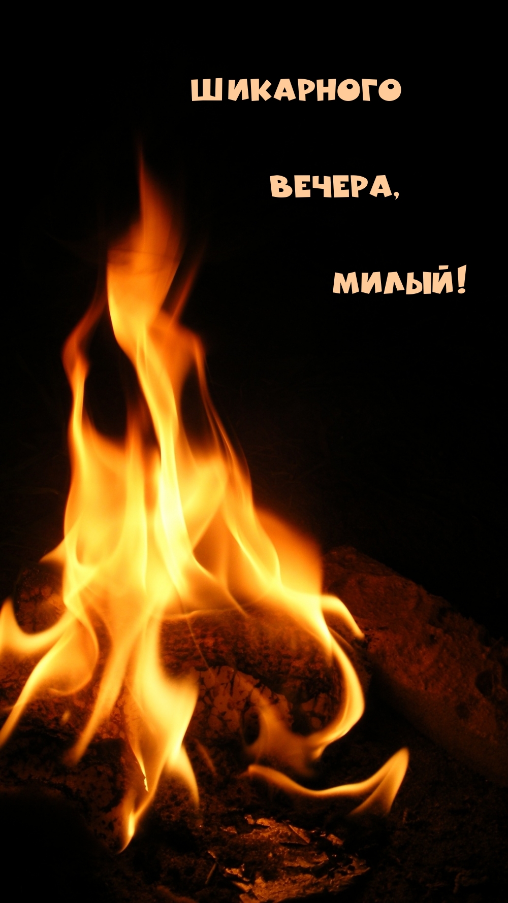 Шикарного вечера, милый!