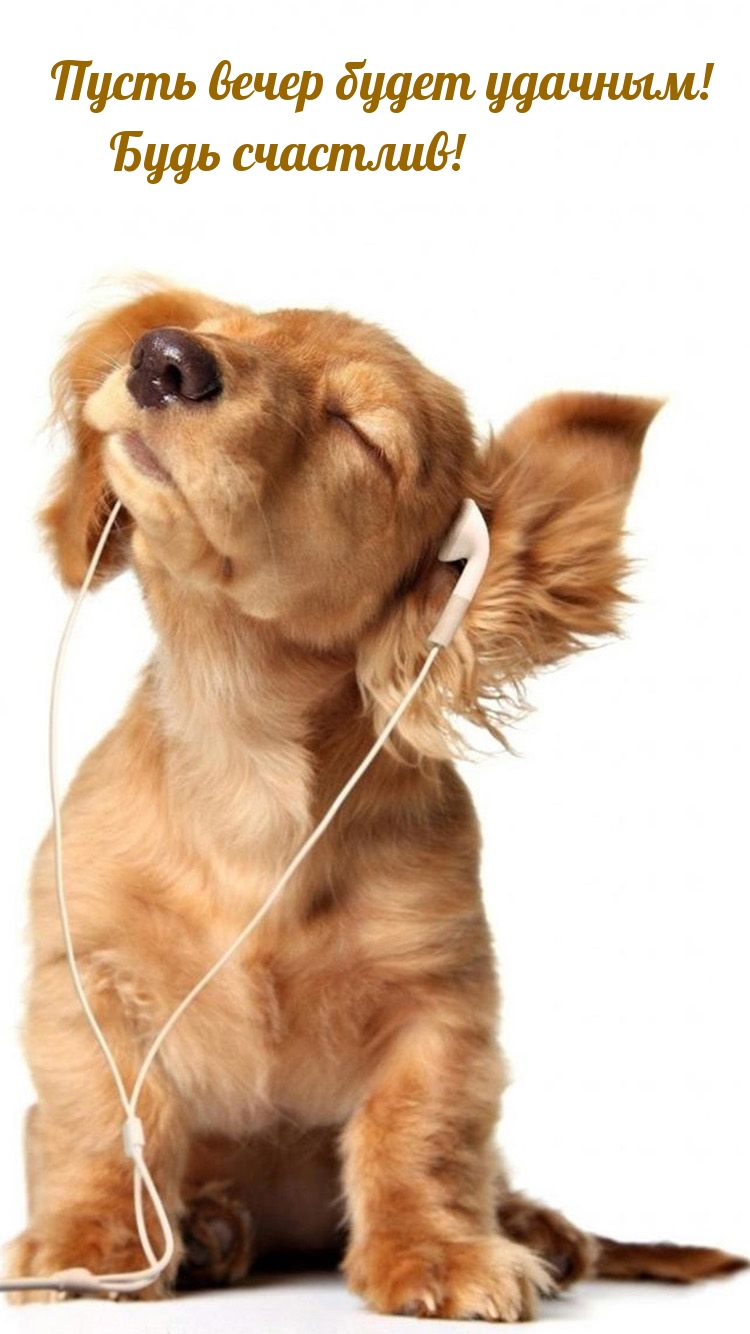Пусть вечер будет удачным! Будь счастлив!