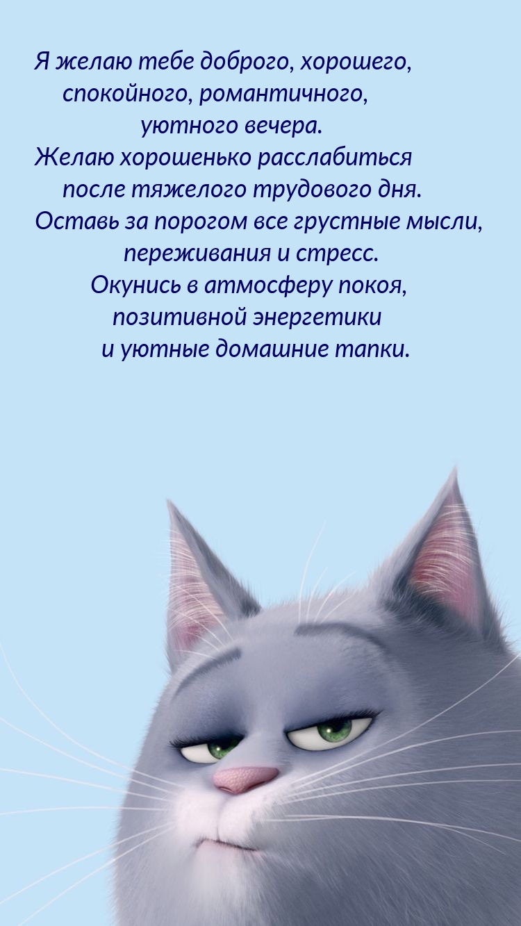 Я желаю тебе доброго, хорошего, спокойного, романтичного