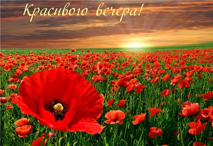 Красивого вечера!