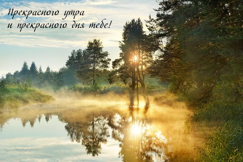 Прекрасного утра и прекрасного дня тебе!