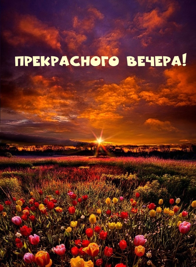 Прекрасного вечера!