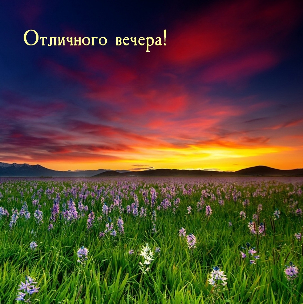 Отличного вечера!
