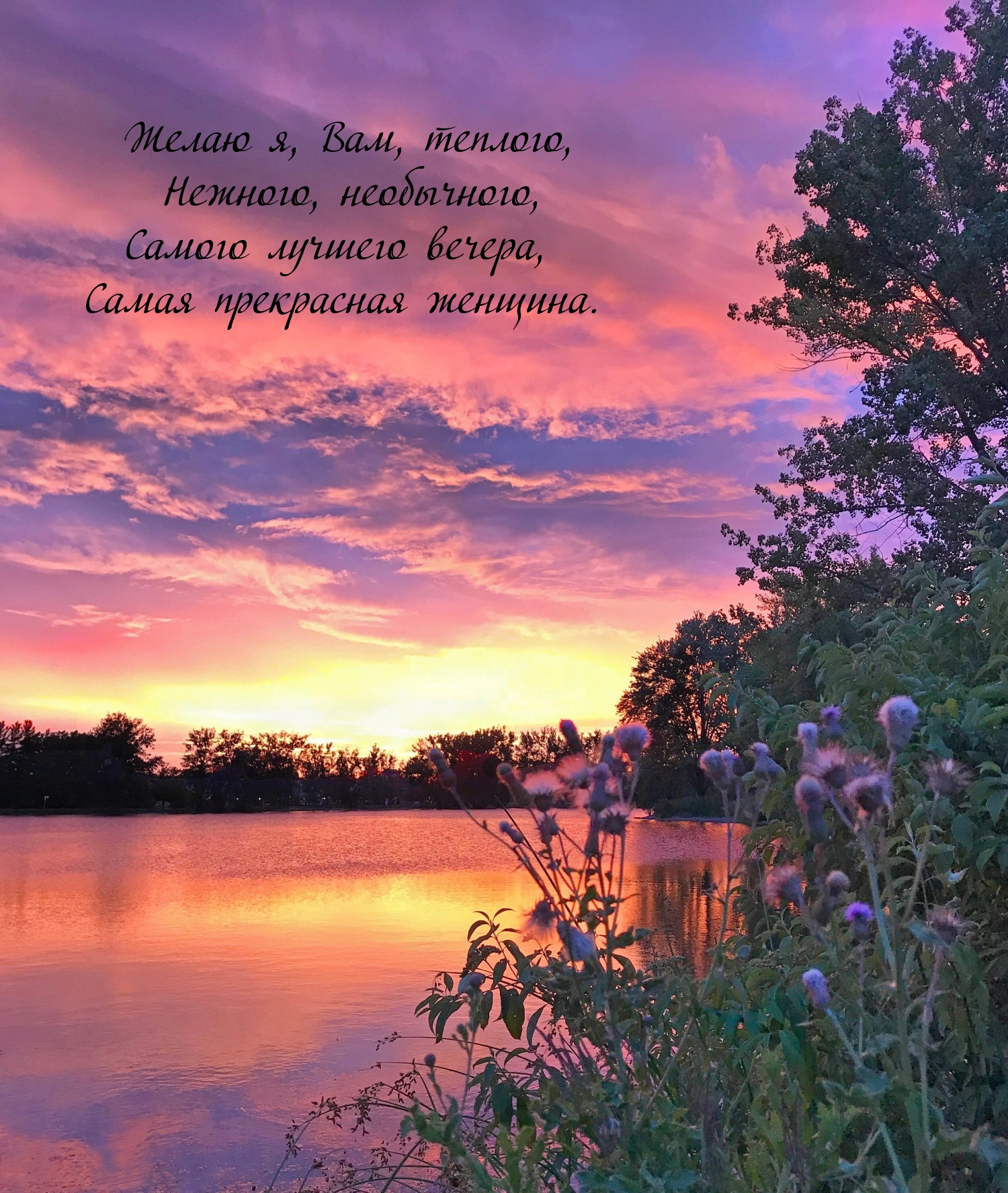 Самого лучшего вечера, самая прекрасная женщина.