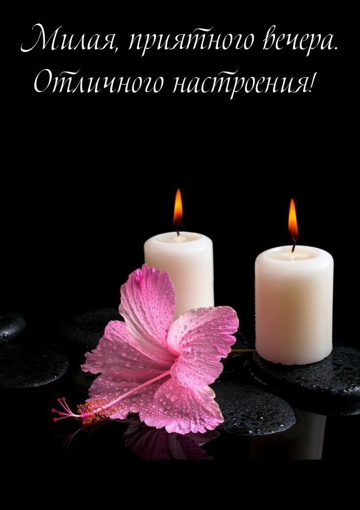 Милая, приятного вечера. Отличного настроения!