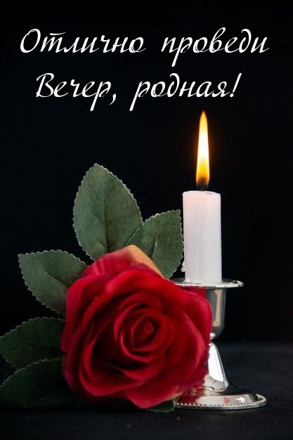 Отлично проведи вечер, родная!