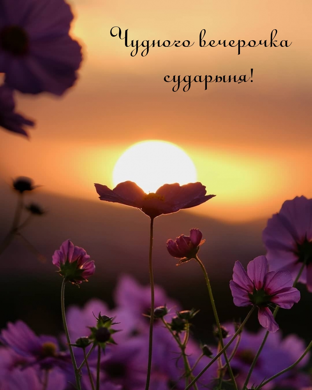 Чудного вечерочка сударыня!