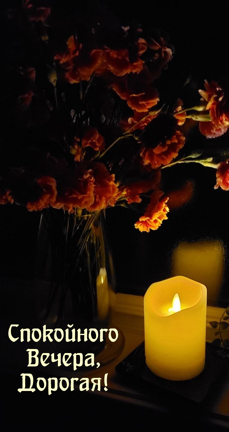Спокойного вечера, Дорогая!