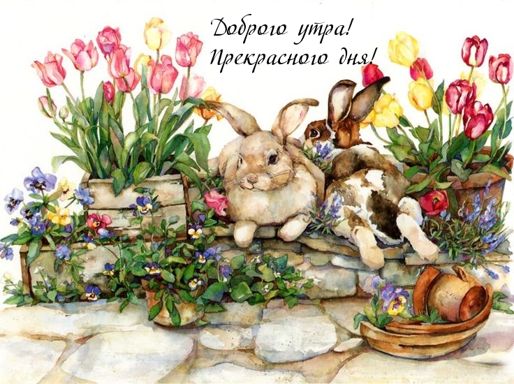 Доброго утра! Прекрасного дня!