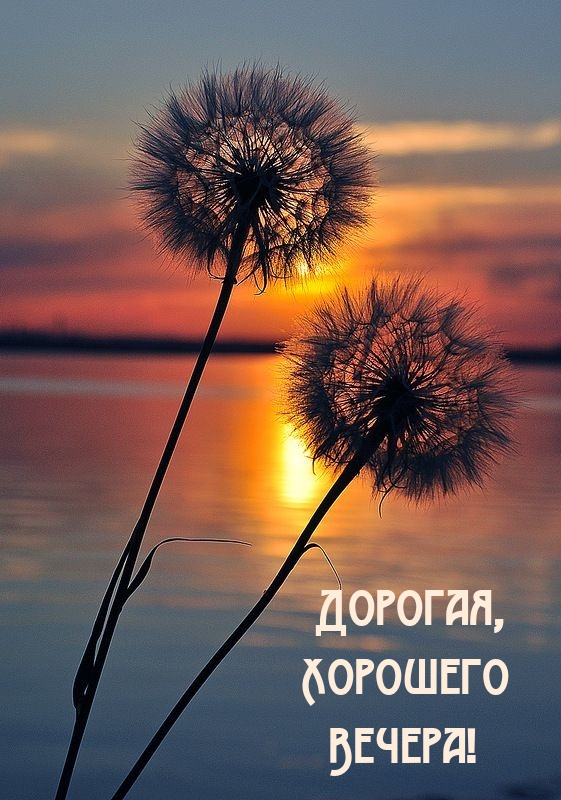 Дорогая, Хорошего Вечера!