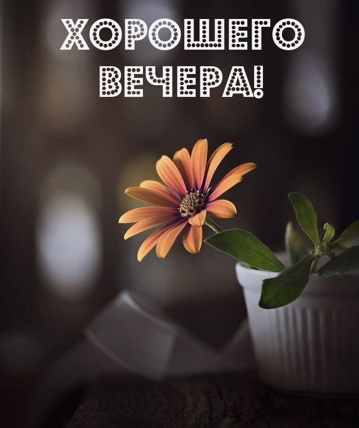 Хорошего вечера!