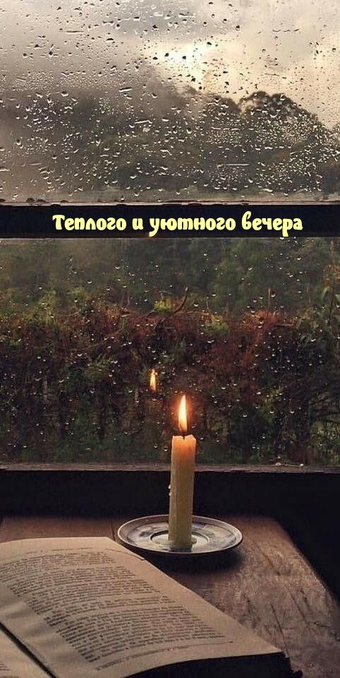 Теплого и уютного вечера