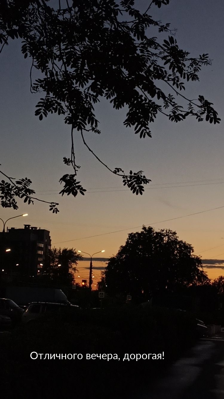 Отличного вечера, дорогая!