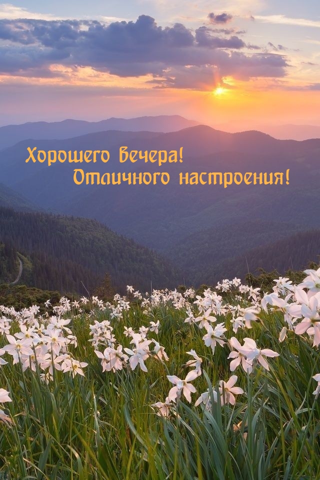 Хорошего вечера! Отличного настроения!